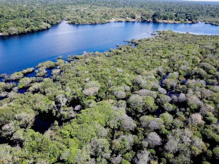 AGU pede à Justiça reparação de R$ 635 milhões por danos climáticos causados por criação de gado na Amazônia